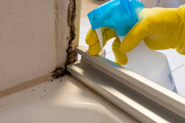 Best Biohazard Mold Removal  in Grangeville, ID